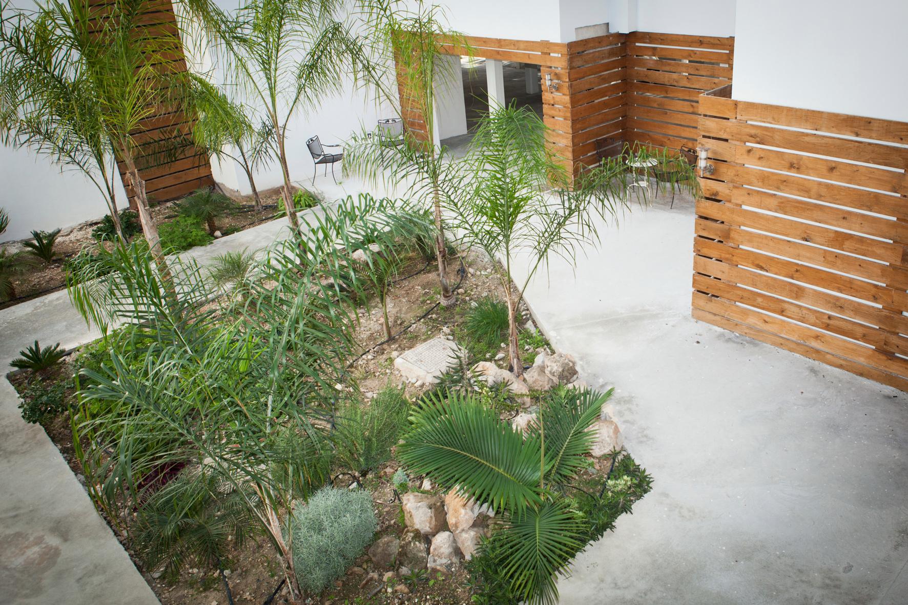 Alecos Hotel Apartments Paphos Ngoại thất bức ảnh