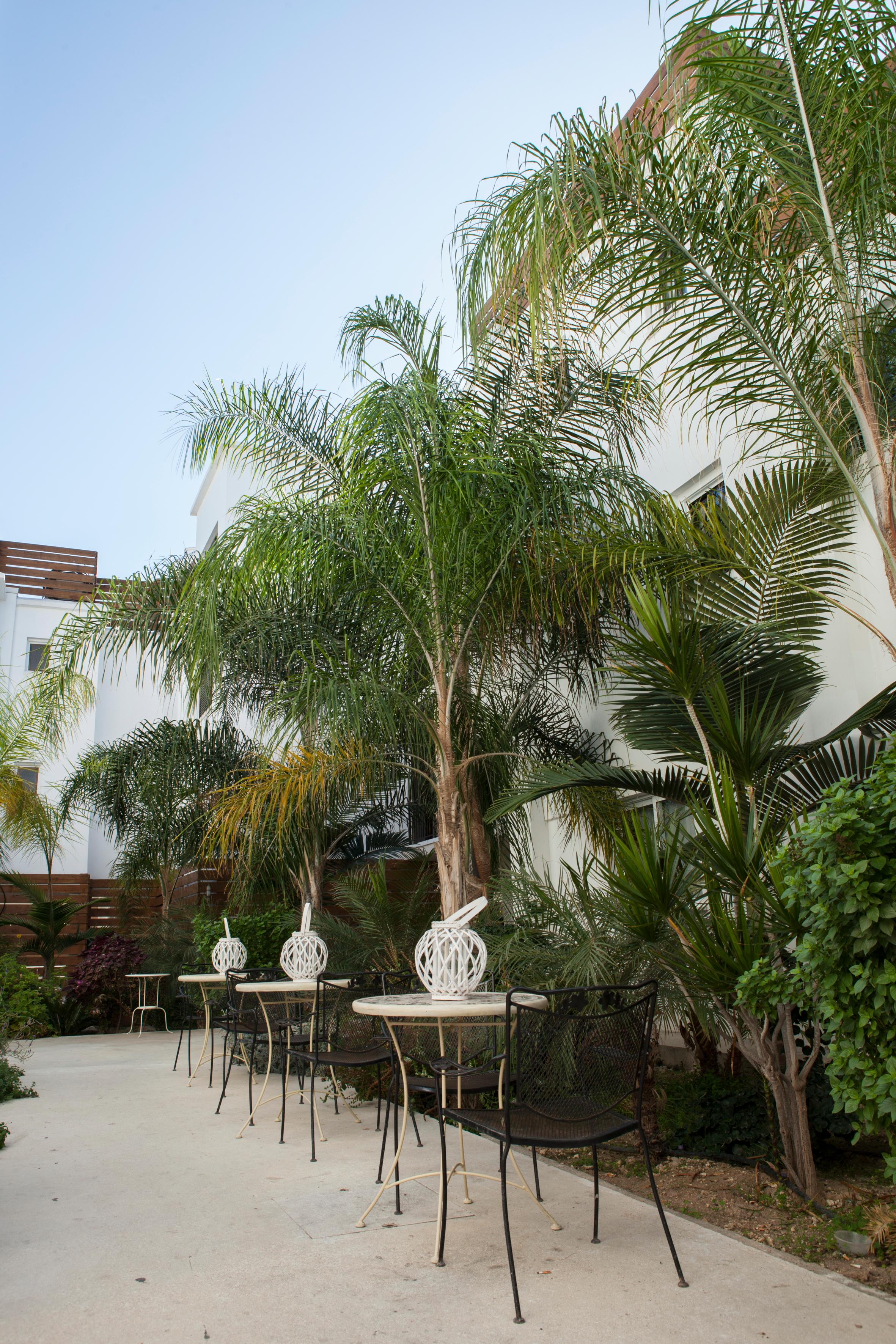Alecos Hotel Apartments Paphos Ngoại thất bức ảnh