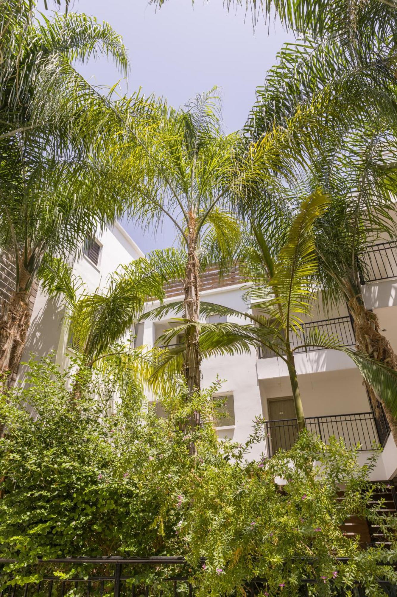 Alecos Hotel Apartments Paphos Ngoại thất bức ảnh