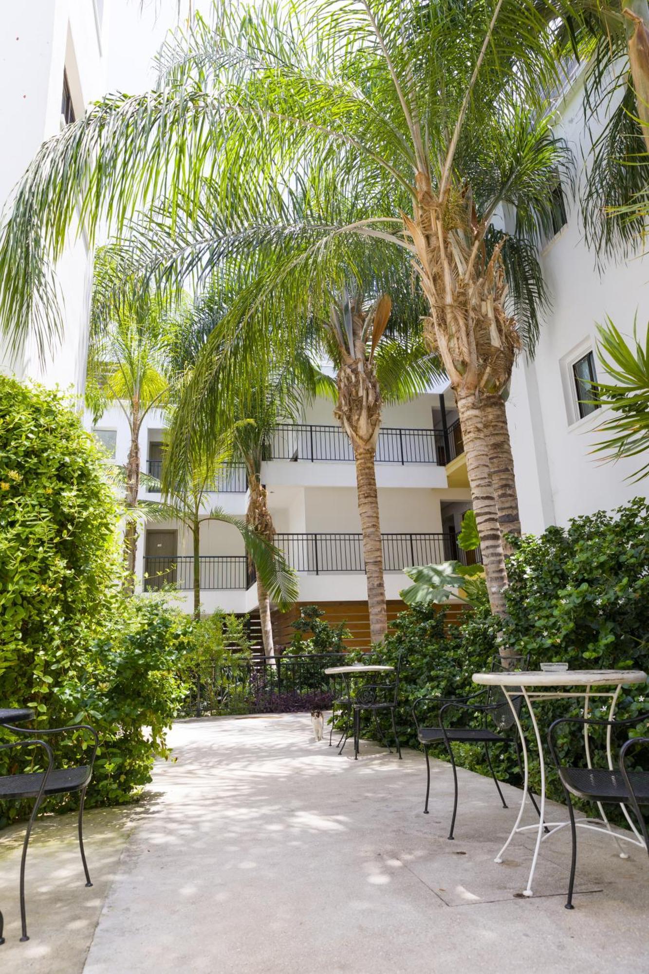 Alecos Hotel Apartments Paphos Ngoại thất bức ảnh