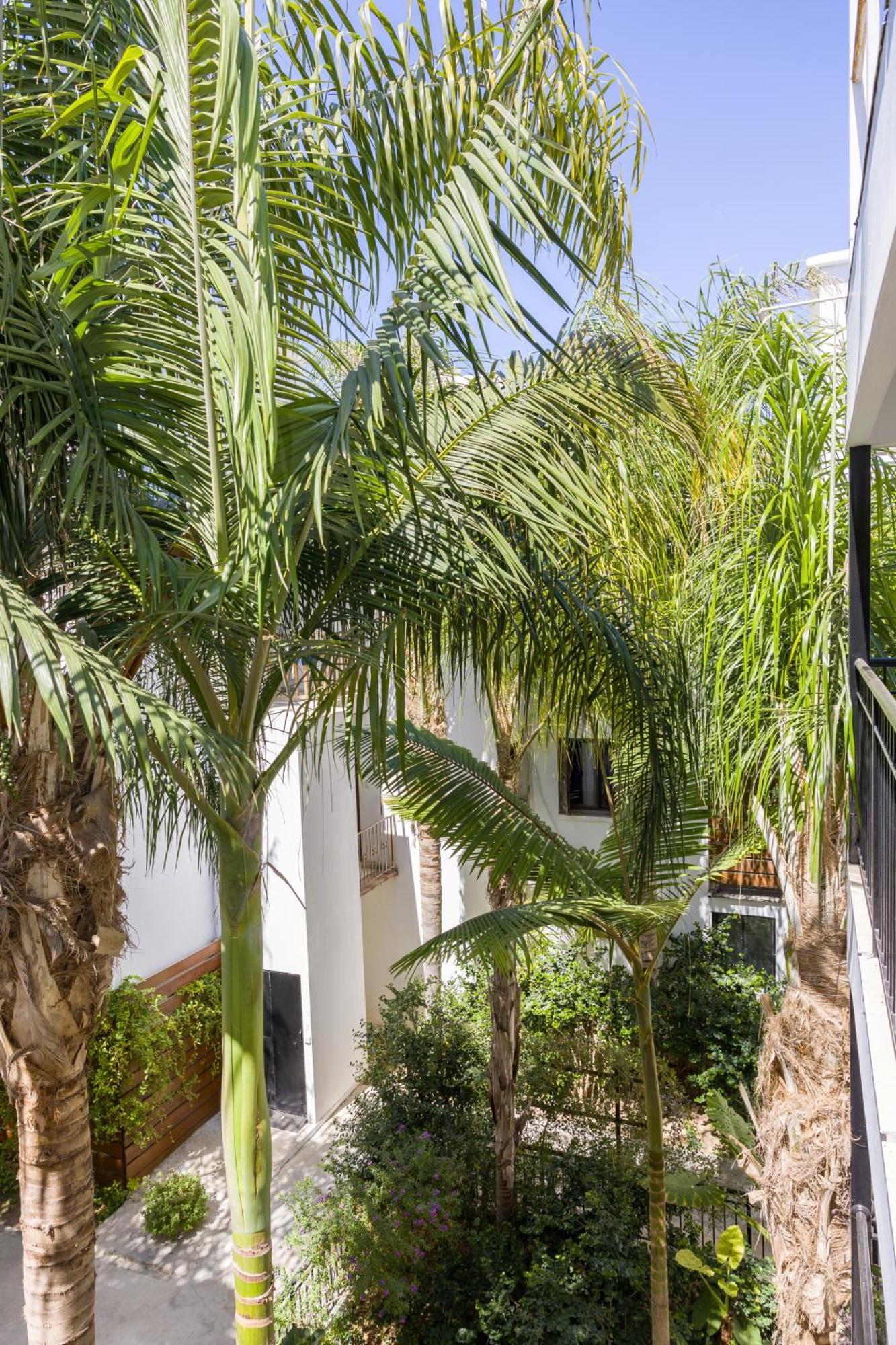 Alecos Hotel Apartments Paphos Ngoại thất bức ảnh